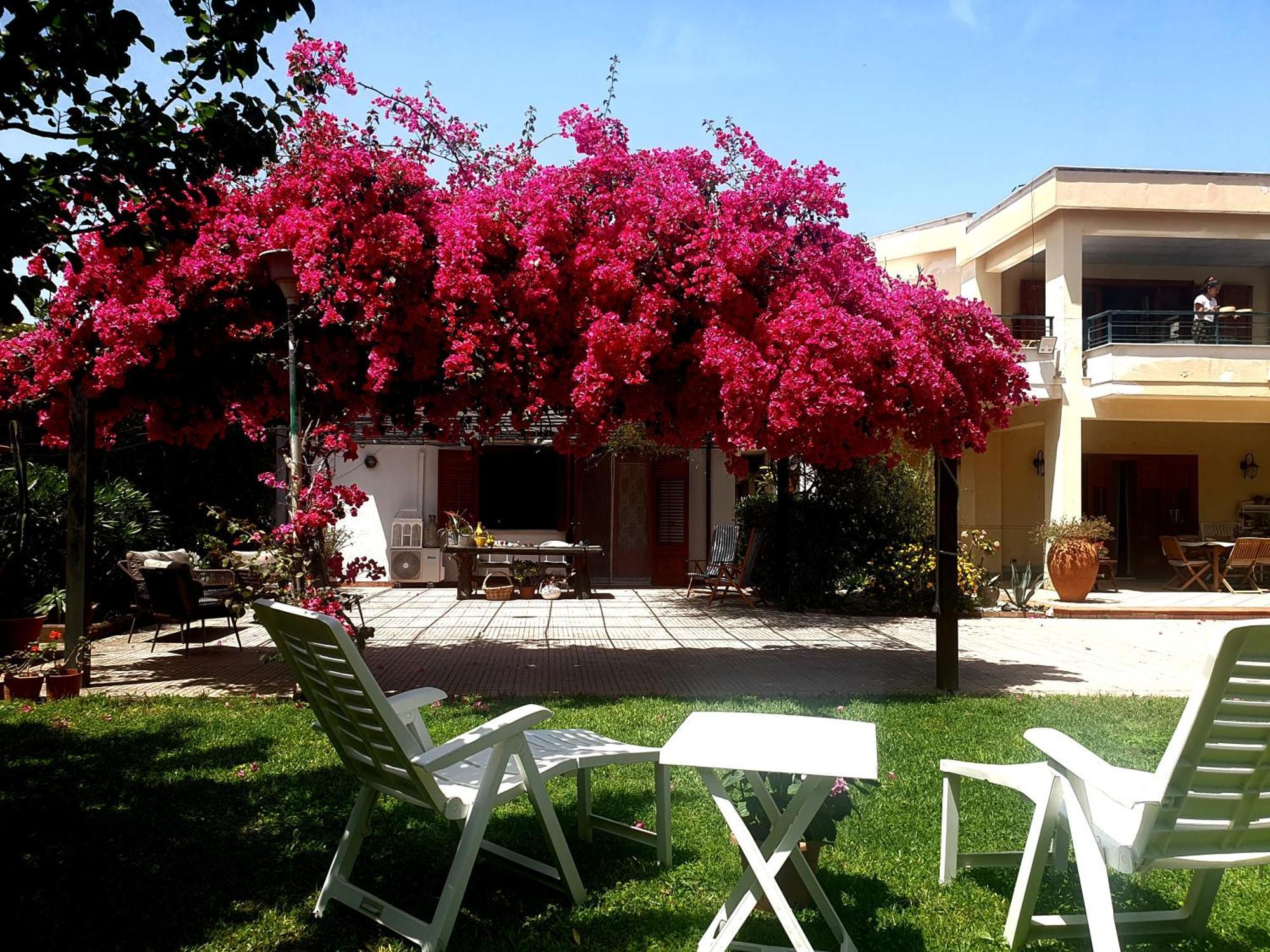 La depandance di Villa Rosa locazioni brevi Mondello Esterno foto